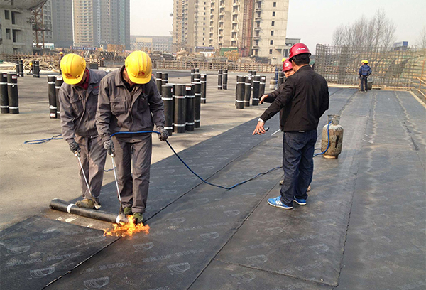 17-14-22-99-840691.jpg 17-14-22-99-840691.jpg